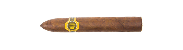 Warped - La Colmena Black Honey