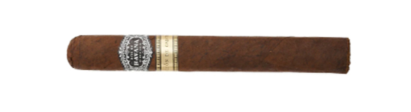 Bulk Discounts - Warped Bits of Havana Seleccion de Capital