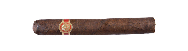 Warped - Venture 1492 Gran Corona